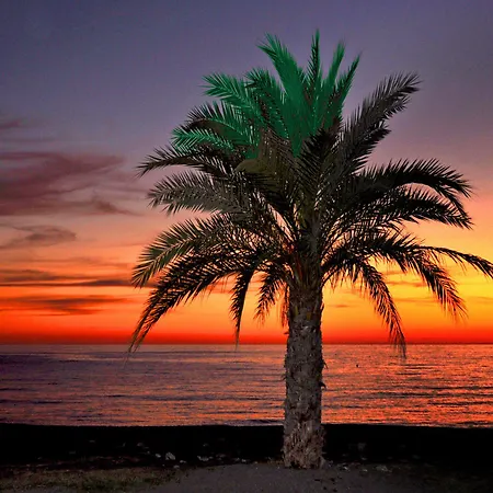 Arrayanes Playa ホテル Almuñécar