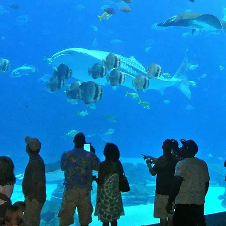 Arrayanes Playa Almuñécar