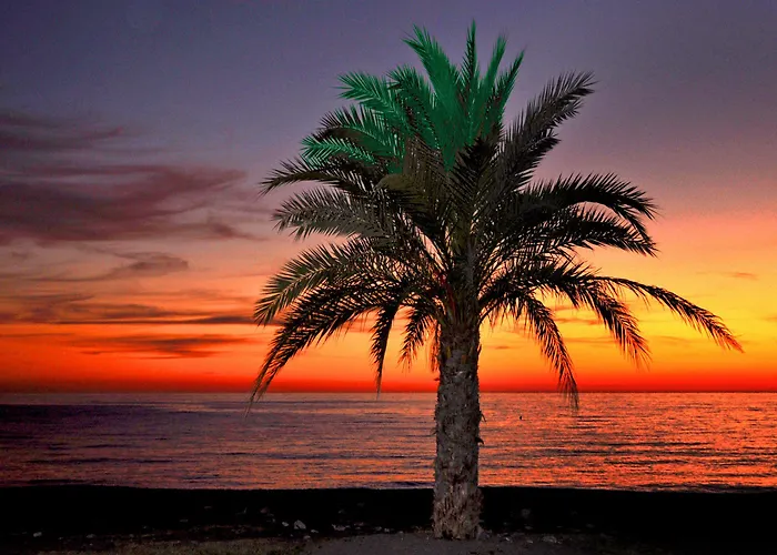 Arrayanes Playa מלון Almuñécar