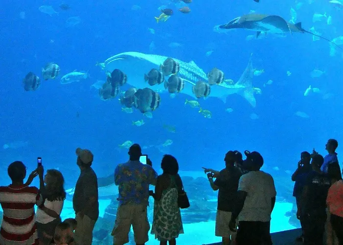 Arrayanes Playa Almuñécar