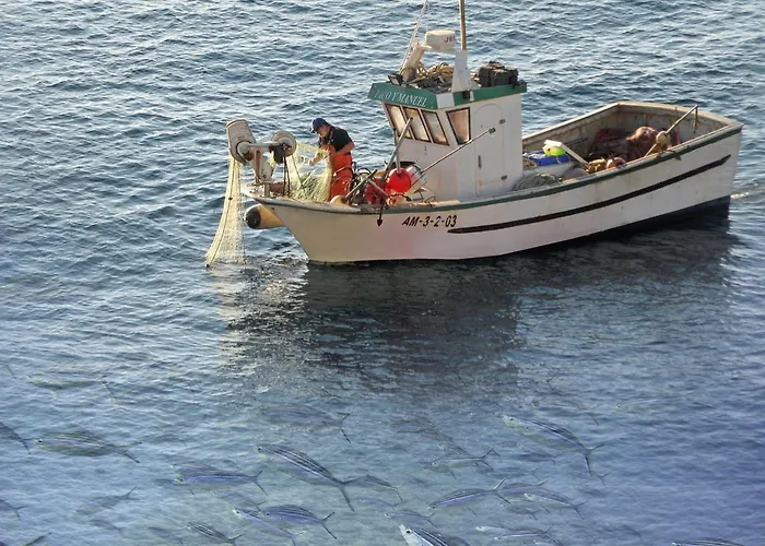 Arrayanes Playa Almuñecar 3*